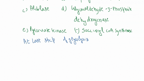 in-glycolysis-which-enzyme-is-responsible-for-producing-atp-through-substrate-level-phosphorylation-a-hexokinase-b-phosphofructosekinase-1-c-aldolase-d-glyceraldehyde-3-phosphate-dehydrogena-71761