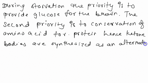 ketone-bodies-are-used-as-an-alternative-source-of-fuel-during-starvation-describe-how-ketones-are-synthesized-75331