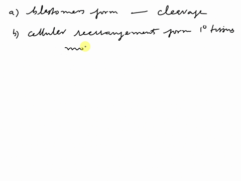 match-each-term-with-the-most-suitable-description-a-blastomeres-form-b-cellular-rearrangements-form-42204