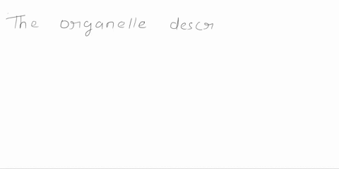 this-organelle-is-covered-in-millions-ribosomes-acts-as-long-passage-ways-next-to-the-nucleus-and-is-the-site-where-most-proteins-are-made-in-cell-what-organelle-is-this-arough-endoplasmic-r-56055