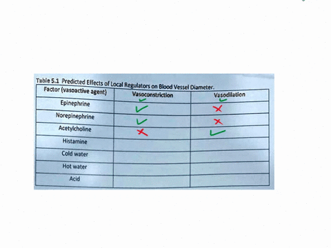 table-51-predicted-effects-of-local-regulators-on-blood-vessel-diameter-factorvasoactive-agent-vasoconstriction-vasodilation-epinephrine-norepinephrine-acetylcholine-histamine-cold-water-hot-62404