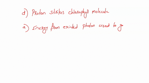 q-1-order-the-events-of-photosynthesis-from-first-to-last-4-points-a-energy-from-excited-photon-used-q-to-generate-atp-6-nadp-and-h-reduce-co-into-carbohydrates-c-nadph-is-generated-from-nad-16946