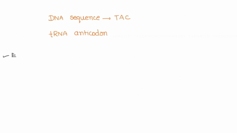 given-the-dna-sequence-tac-what-is-the-trna-anticodon-99135