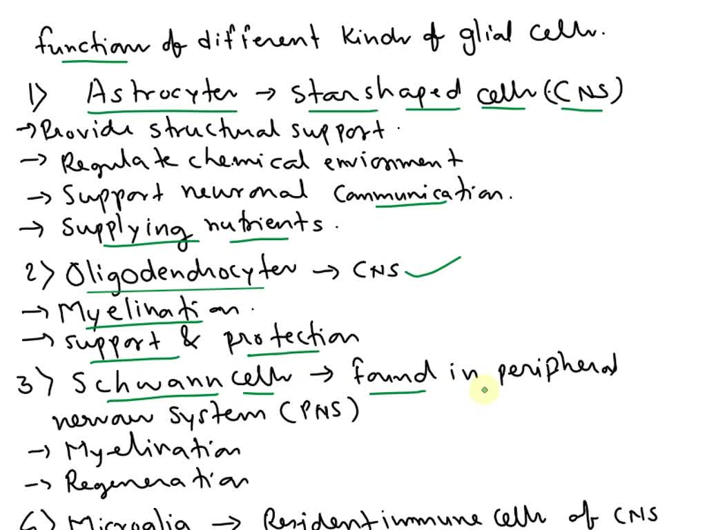 SOLVED: Question 1 [20 marks] (a) Draw the excitation signal and the ...