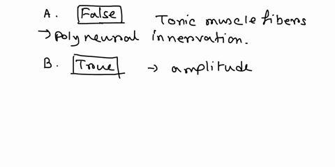 the-type-of-skeletal-muscle-fiber-we-usually-discuss-in-class-is-called-a-twitch-fiber-motor-axons-that-innervate-twitch-fibers-generate-large-depolarizing-endplate-potentials-epps-a-type-of-17633