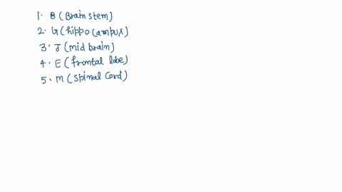 activity-1-perfect-match-instruction-match-the-function-in-column-a-with-the-appropriate-structure-in-column-b-write-the-letter-only-of-your-answer-on-a-separate-sheet-of-paper-1-point-each-76312