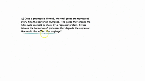 multiple-choice-1-once-a-prophage-is-formed-the-viral-genes-are-reproduced-every-time-the-bacterium-multiplies-the-genes-that-encode-the-lytic-cycle-are-held-in-check-by-a-repressor-protein-42721