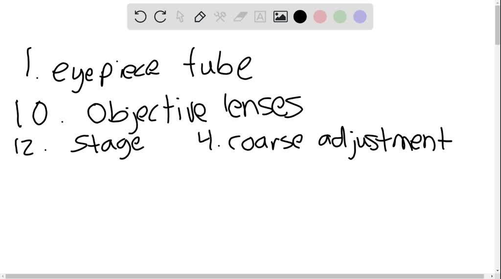 SOLVED Name the parts of the microscope on the following figure? 12