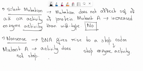 you-perform-an-enzymatic-rate-of-reaction-analysis-on-2-mutants-ofan-enzyme-and-obtain-the-ifollowing-data-noter-these-are-not-thel-mutants-abore-enzyme-reaction-rate-vs-substrate-concentrat-64208