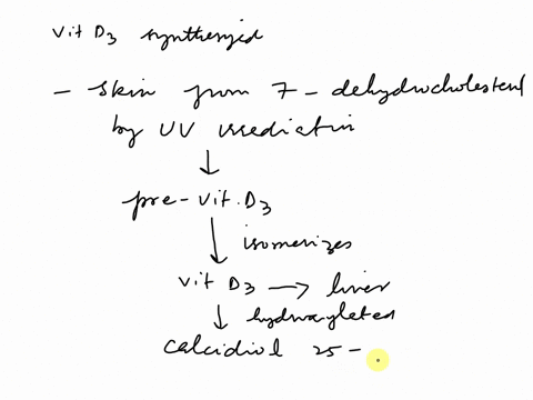 4-describe-the-synthesis-and-functions-of-vitamin-d3-49493