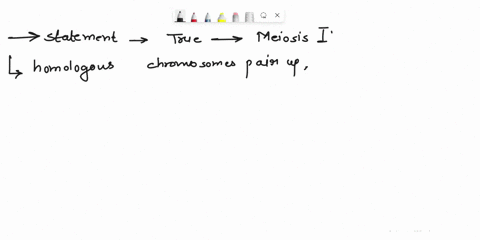 which-of-the-following-statements-is-true-regarding-meiosis-i-sister-chromatids-are-separated-homologous-chromosomes-assort-independently-homologous-chromatids-are-separated-crossing-over-oc-85745
