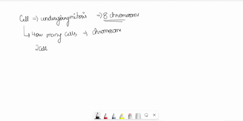 if-a-cell-has-8-chromosomes-undergoing-mitosis-there-will-be-a-total-of-cells-each-with-chromosomes-please-help-chesterschoology-comcommon-assessment-deliverystart47130753512actiononresume-s-78424
