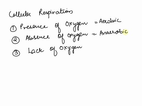 which-of-the-following-occur-within-a-muscle-cell-during-oxygen-deficit-place-a-check-mark-by-the-correct-choices-49decreased-atp-53increased-oxygen-54decreased-carbon-dioxide-50increased-at-78664