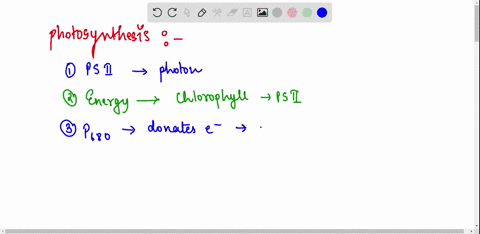 can-you-arrange-these-steps-of-photosynthesis-into-the-correct-order-begin-with-the-light-reactions-please-note-these-are-the-main-steps-but-do-not-include-every-little-detail-in-the-calvin-04807