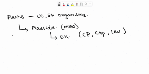 name-one-organelle-that-can-make-some-of-its-protein-in-a-plant-cell-and-also-mention-one-functions-of-such-organelle-64799