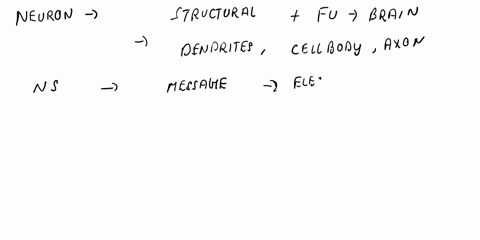 label-the-figure-belaw-with-the-following-dendrites-cell-body-nissl-bodies-aton-hillock-en-myelin-telodendria-axon-terminals-summary-fble-struclura-chusgs-ncurons-emcm-ic1-e6uemralfenlenzi-a-89395