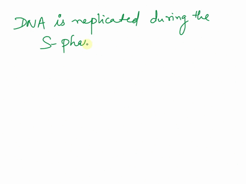 during-which-of-the-following-phases-of-the-cell-cycle-is-dna-replicated-18327