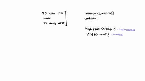 a-25-year-old-male-iv-drug-user-presents-with-a-3-week-history-of-worsening-lethargy-and-confusion-on-examination-his-pulse-rate-is-130bpm-and-his-blood-pressure-is-12080-mmhg-cardiovascular-examinati