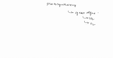 if-photosynthesizing-green-algae-are-provided-with-co2-synthesized-with-heavy-oxygen-180-later-analysis-will-show-that-all-but-one-of-the-following-compounds-produced-by-the-algae-contain-th-66386