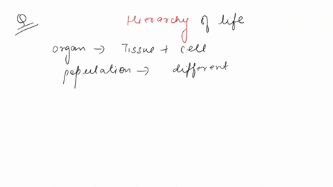 in-describing-the-hierarchy-of-life-which-of-the-following-descriptions-of-relationships-is-not-accu-51612