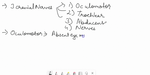 tne-eye-perform-the-same-test-with-the-olhc-cye-record-our-results-in-table-54-shine-flashlight-at-an-angle-not-directly-into-your-iab-partner-eyes-and-observe-the-chanje-the-diameter-of-the-62001