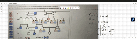 part-bdetermining-genotypes-in-pedigrees-of-x-linked-conditionsthe-pedigree-from-part-a-is-shown-below-fill-in-the-most-likelygenotypes-of-the-indicated-individuals-in-the-pedigree-note-that-74505