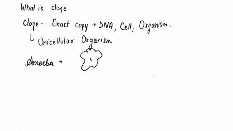 what-is-a-clone-a-an-exact-copy-of-dna-a-cell-or-an-organism-b-any-organism-that-contains-recombinant-dna-c-any-protein-that-is-produced-by-a-transgenic-organism-d-any-cell-that-includes-dna-50268