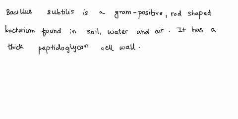bacillus-subtilis-answer-the-following-questions-about-the-organism-what-is-the-structure-where-is-it-found-what-is-the-result-of-the-catalase-test-on-it-what-is-the-result-of-the-cassien-te-88848