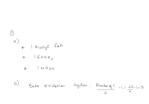 1-for-a-saturated-fatty-acid-with-28-carbon-atoms-a-write-the-products-obtained-from-one-cycle-of-beta-oxidation-b-how-many-cycles-of-beta-oxidation-will-be-required-for-its-complete-breakdo-54395