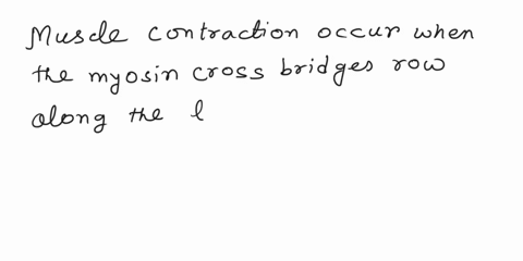 muscle-contraction-occurs-when-the-myosin-cross-bridges-row-along-the-length-of-the-______-filaments-62423