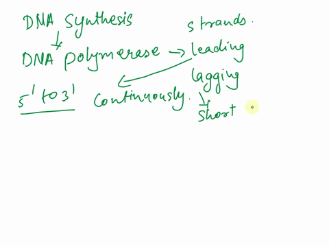during-dna-replication-the-function-of-dna-polymerase-is-to-serve-as-starting-points-for-dna-strand-elongation-by-dna-polymerase-5-direction-in-the-serve-as-a-binding-site-for-dna-ligase-syn-08378