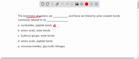 the-monomers-of-proteins-are-_________-and-these-are-linked-by-polar-covalent-bonds-commonly-referre-16557