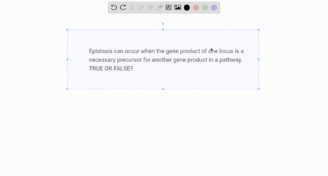 epistasis-can-occur-when-the-gene-product-of-one-locus-is-a-necessary-precursor-for-another-gene-product-in-a-pathway-true-or-false-05942