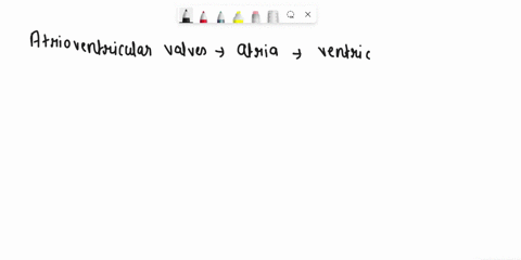 question-15-15-pts-the-atrioventricular-valves-control-the-flow-of-blood-from-the-to-the-atria-ventricles-ventricles-arteries-atria-veins-ventricles-alria-42141