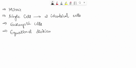 mitosis-is-the-division-of-the-_____-and-begins-with-a-stage-called-____-as-the-nuclear-envelope-finishes-dissolving-the-cells-enter-____-where-microtubules-from-the-spindle-attach-to-the-du-34903