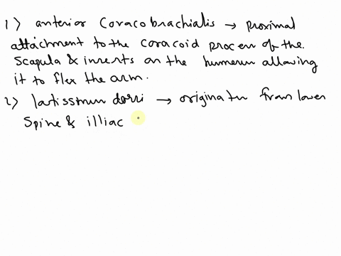 1-generally-speaking-a-muscle-with-a-proximal-attachment-____________-to-the-glenohumeral-joint-such-as-______________-flexes-the-arm-multiple-choice-anterior-triceps-brachii-long-head-anter-01585