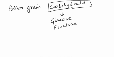 which-nutrients-do-the-pollen-grains-contain-the-most-a-vitamins-b-proteins-c-fats-d-carbohydrates-42883