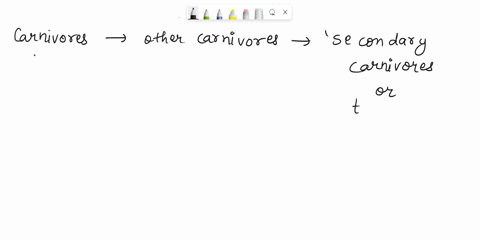 carnivores-that-feed-on-other-carnivores-are-26156