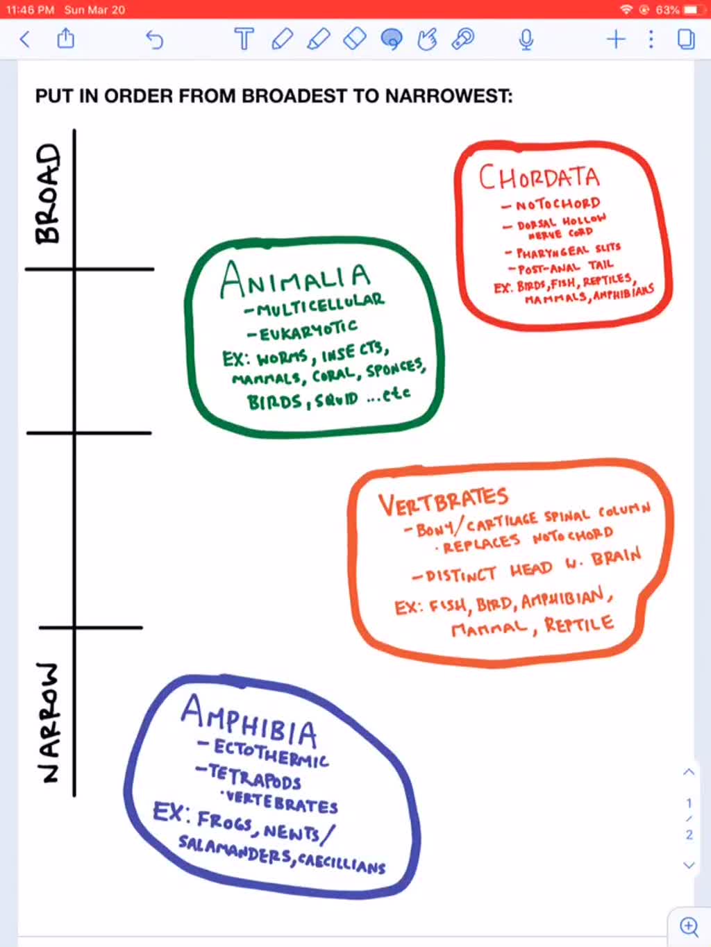 solved-put-in-order-from-broadest-to-narrowest-amphibia-animalia