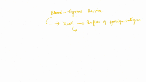 which-of-the-following-isare-true-concerning-the-cell-cycle-select-all-that-are-true-question-1-options-a-the-cell-cycle-stage-called-m-phase-is-part-of-interphase-b-replication-of-dna-in-pr-69022