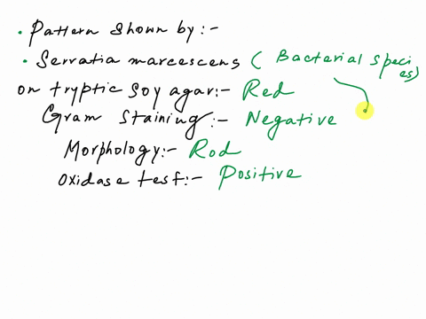 b-red-serratia-marcescens-which-organism-produces-_ed-pigment-on-tsa-what-would-be-its-gram-stain-and-shape-what-would-be-its-oxidase-test-67881