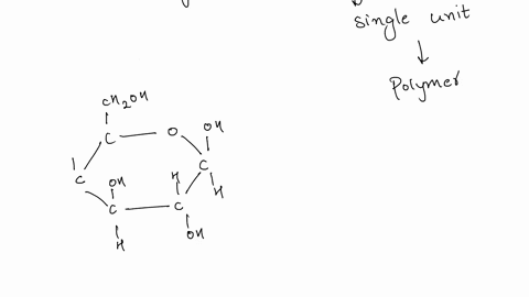 the-rigidity-of-wood-comes-from-the-cellulose-that-makes-up-cells-walls-present-in-plants-which-ofthe-following-properties-of-cellulose-help-to-explain-why-it-is-more-rigid-than-other-polysa-84118