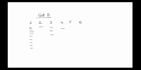 question-15-2-points-gela-kcuor-glb-welia-coctrl-dya-wcll-suract-elll-t-sut-wehs-cutr-welll-6-cumc-ecen-given-that-lane-contains-vldence-rom-crlme-scenc-which-0fthe-suspocts-can-be-tied-to-h-19916