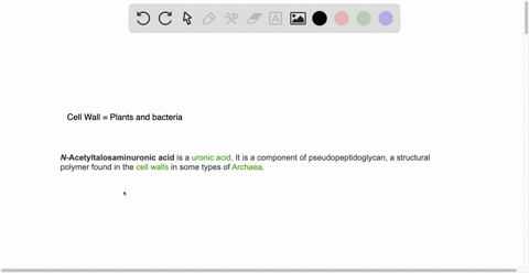 in-what-type-of-organisms-would-you-expect-to-find-n-acetyltalosaminuronic-acid-as-a-constituent-of-the-cell-wall-material-15317