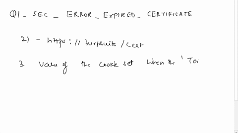 i-need-a-explaination-help-on-questions-2-and-3-ilburp-suite-basicshttps-labs-immersive-labs-tasks-1-set-proxy-settings-in-firefox-to-proxy-traffic-through-burp-2-navigate-to-wwwmngrio-and-v-83711