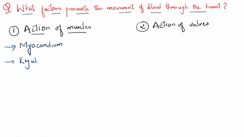 what-factors-promote-the-movement-of-blood-through-the-heart-09233