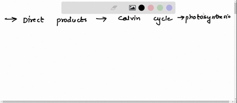 the-direct-products-of-the-calvin-cycle-in-photosynthesis-are-lipidssuch-as-fats-and-oils-none-ofthese-are-complexcarbohydratessuch-as-starches-andcellulose-g3p-molecules-which-may-then-be-c-52625