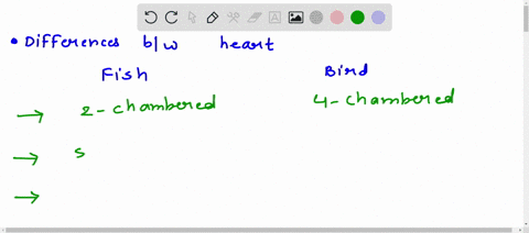 list-3-differences-between-the-heart-ofa-fish-and-a-bird-manunal-marks-69857