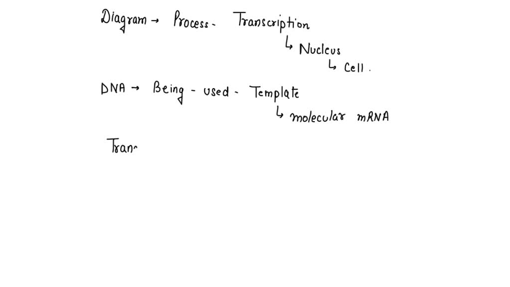 SOLVED: '2. The diagram shows the process of transcription, which takes ...