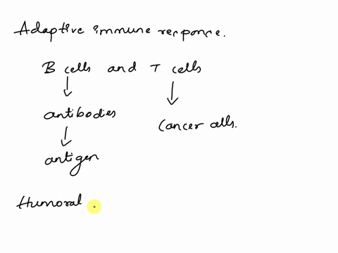 immune-system-review-adaptive-immunity-1-in-the-adaptive-immune-response-what-key-cells-are-involved-2-what-is-humoral-immunity-what-cells-are-involved-in-establishing-this-response-3-what-i-90389